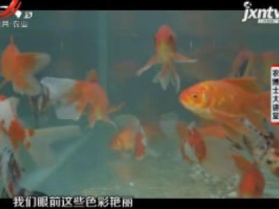 农博士大讲堂20190318 草金鱼池塘繁殖