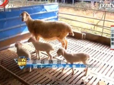 三农聚焦20181113 双十一的冷思考（下）