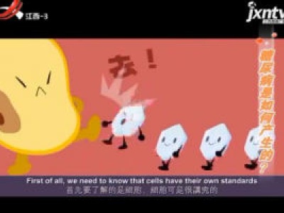 天天健康20180511