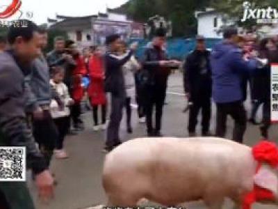 三农聚焦20190110 喜赴“洪门宴”