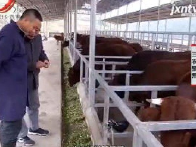 三农聚焦20190115