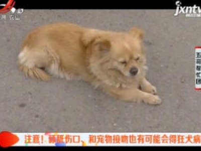五哥帮忙团20190304