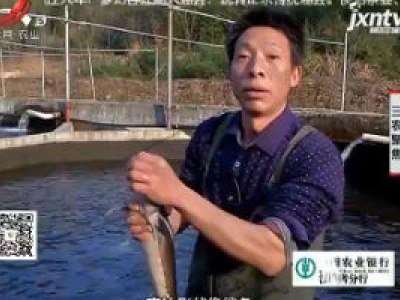 三农聚焦20190130 水中“鲟”财富