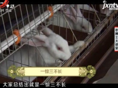 农博士大讲堂20181105 三针两料养獭兔