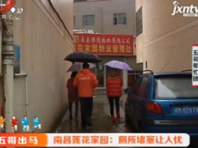 五哥帮忙团20190110