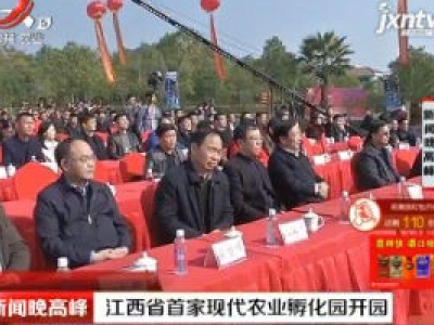 新闻晚高峰20181123