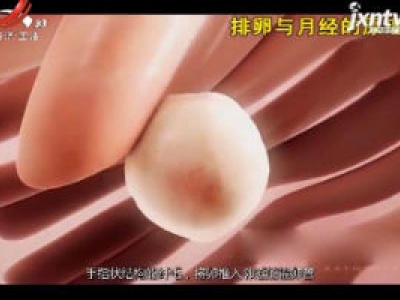 天天健康20190102