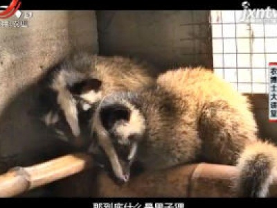 农博士大讲堂20190101 山珍之首果子狸