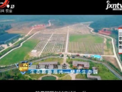 三农聚焦20181008 生态旅游观光——斐然生态园