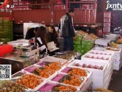 三农聚焦20181227 南丰桔产业遇“冬” 农户如何突围？