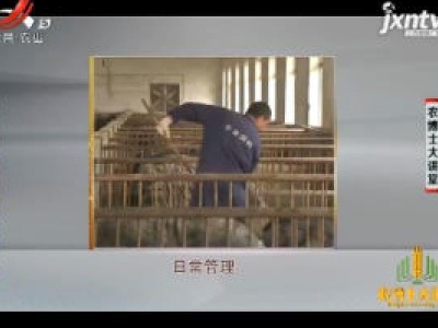 农博士大讲堂20190219 汉江黑猪养殖技术