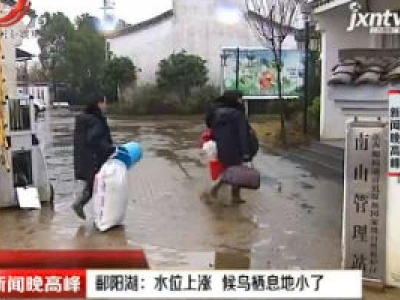 新闻晚高峰20190227