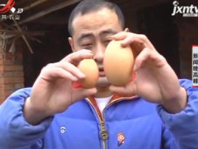 新闻晚高峰20190216