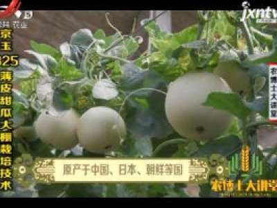 农博士大讲堂20181010 京玉325薄皮甜瓜大棚栽培技术