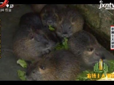 农博士大讲堂20180918 浑身是宝的海狸鼠