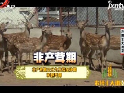 农博士大讲堂20181015 双阳梅花鹿养殖技术（下）
