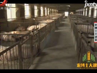 农博士大讲堂20181228 如何挑选种公猪