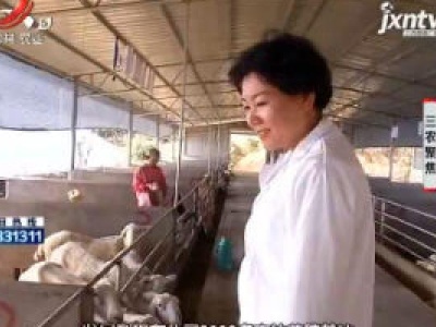 三农聚焦20181106 冬季来临 羊肉火爆