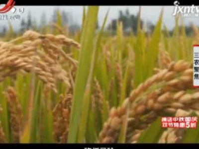 三农聚焦20180917 健康水养出好大米