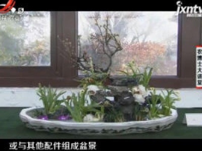 农博士大讲堂20181130 水仙雕刻与水养