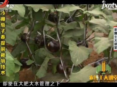 农博士大讲堂20181017 冷棚茄子春提前栽培技术