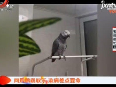 五哥帮忙团20190307