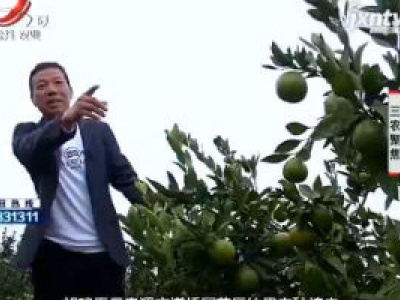 三农聚焦20181016 秋收时节采摘忙