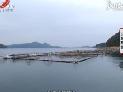三农聚焦20190114 美味新贵“瘦身鱼”