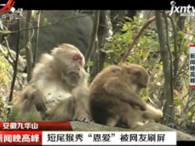 新闻晚高峰20190303