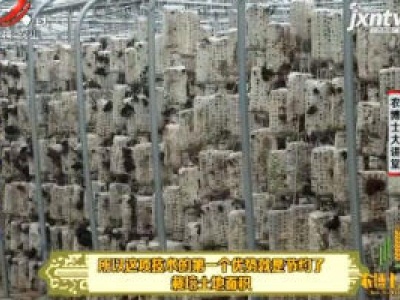 农博士大讲堂20190214 黑木耳大棚吊袋立体栽培
