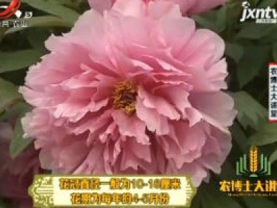 农博士大讲堂20190115 牡丹田地栽培技术