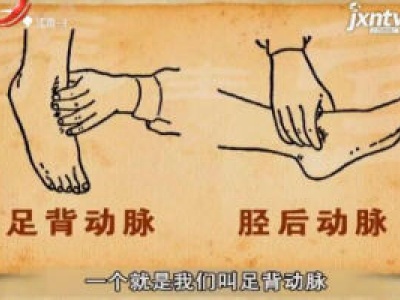 天天健康20180213