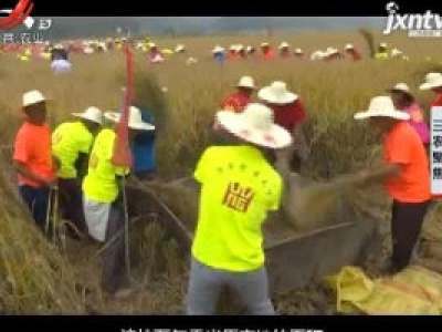 三农聚焦20190325 闻名于世的万年贡米