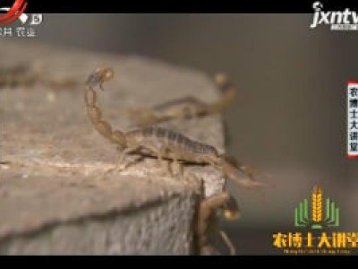 农博士大讲堂20180926 依照蝎性来养蝎