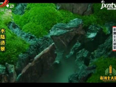 农博士大讲堂20181121 水陆造景