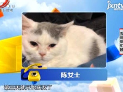 五哥帮忙团20190311