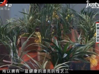 农博士大讲堂20181112 线艺兰的日常管理
