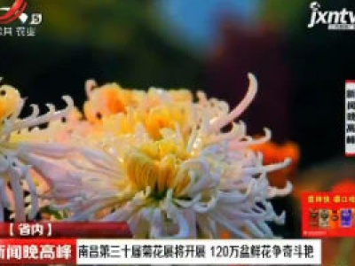 新闻晚高峰20181102