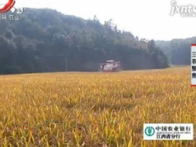 三农聚焦20181205 “80后”种粮大户的幸福生活