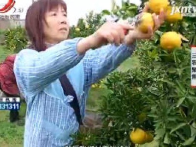 三农聚焦20190305