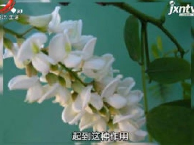 天天健康20190216
