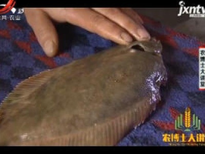 农博士大讲堂20190131 黄盖鲽的繁育与养殖技术