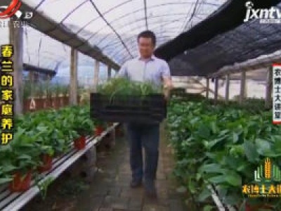 农博士大讲堂20190121 春兰的家庭养护
