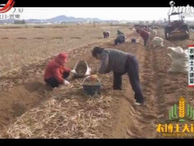 农博士大讲堂20190313 西洋参种植技术