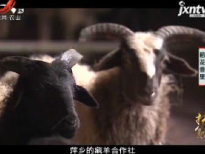 稻花香里20190107