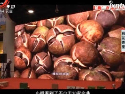 稻花香里20181219 备受关注的农产品
