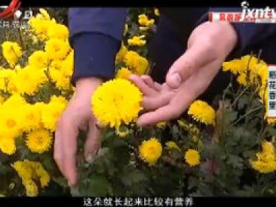 稻花香里20181130