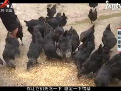 稻花香里20190121