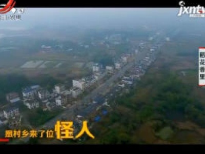 稻花香里20190225