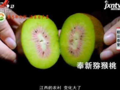 稻花香里20181207